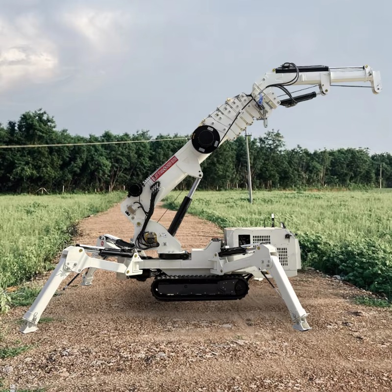 Compact Mini Spider Crane 1.5T - Compact Crawler Boom Lift 评论和价格
